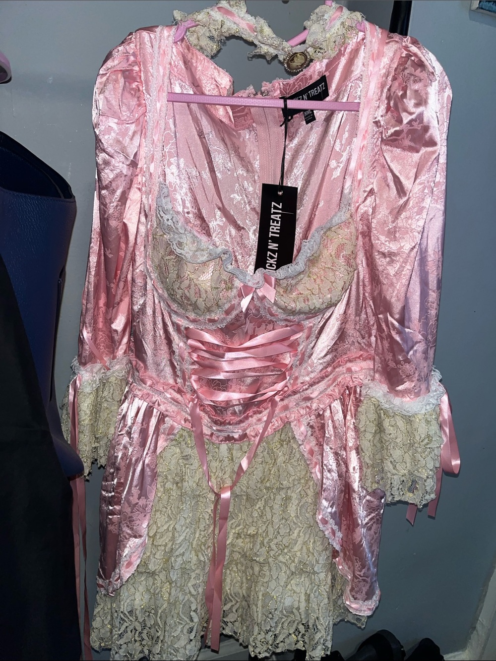 Pink Marie Antoinette costume! Coquette Halloween curvy NWT comes with wig & fan